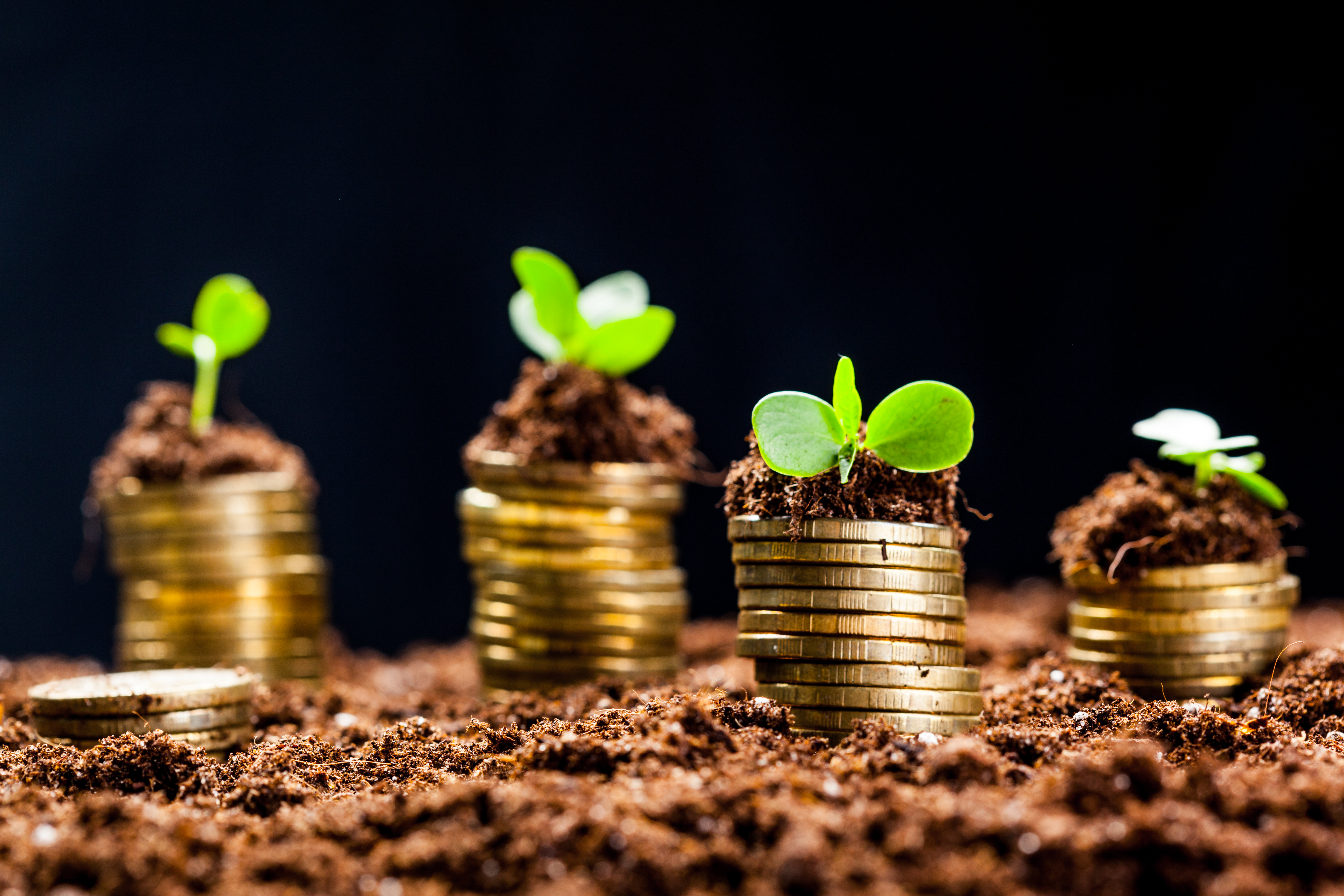 Angel Investing in Canada: How It Works and How We Connect You