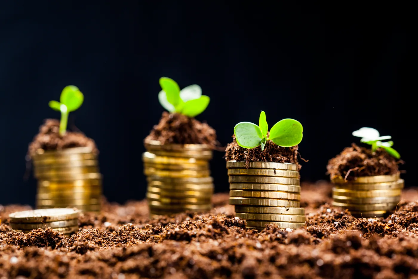 Wealth Management Tips for Canadian Entrepreneurs in 2025